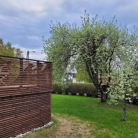 Beautiful Near Forest, Sea And Сандефьорд