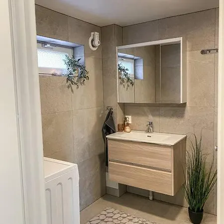 Beautiful Near Forest, Sea And