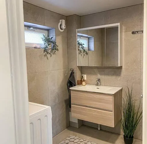 Beautiful Near Forest, Sea And