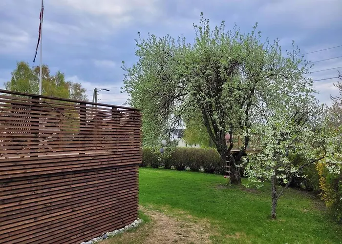 Beautiful Near Forest, Sea And Sandefjord